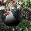 shoefight-does-hot-girl-shit avatar