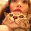 shokotanscats avatar