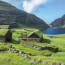 shoobydoowopdowop avatar