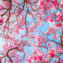 shooting-star0 avatar