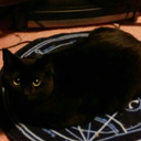 shootingstar9s avatar