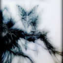 shootingstarsbaby avatar