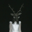 shootingstarsinshatteredskies avatar