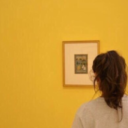 shootingstellar-blog avatar