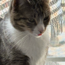 shootingstxr10 avatar