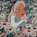 shootingxsstarr avatar