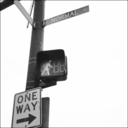 shootwithheart avatar