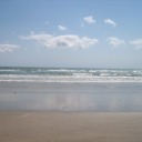 shorebabe avatar