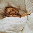 shoresidewind avatar