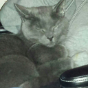 shorrtyrock25 avatar