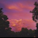 short-and-sneezy avatar