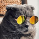 short-gremlin avatar