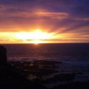 short-step-ladder avatar