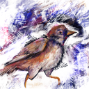 shortandsadandstupid avatar