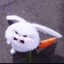 shortcake-princess avatar