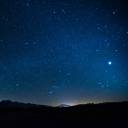 shortcakeyard avatar