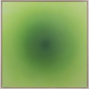 shortgiraffes avatar