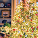 shortnorthhighst avatar