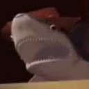 shortroundandeasytotrick avatar