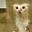 shorttermexploisons avatar