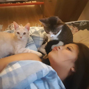 shortxsunflower avatar