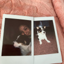 shortybanginq avatar