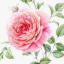 shortymcpunkbutt avatar