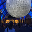 shotsandnegatives avatar