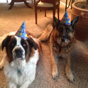 shotzandsquatz avatar