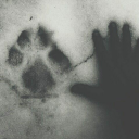 should-have-been-a-rockstar avatar