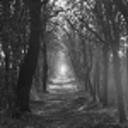 should-i-stay avatar