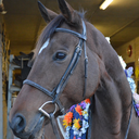 shoulders-back-heels-down avatar