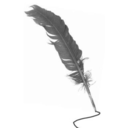 shouldhavewritten avatar