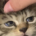 shout-the-truth avatar