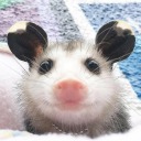 shouting-in-my-sleep avatar