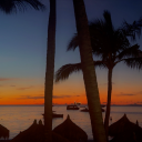 show-goes-onn avatar