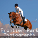show-jumping avatar