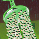 shower-phantom-ideas avatar