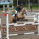 showjumped-blog avatar