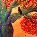 showmethecrowfacts avatar