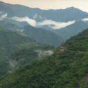 shreepri-blog avatar