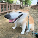 shrek2onbluray avatar