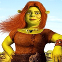 shrekdekifiona avatar