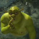 shreksbiggreenhog avatar
