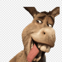 shrexydonkey avatar