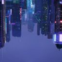 shrieky-noodle-flute avatar