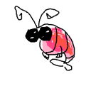 shrimp1y avatar