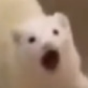 shrimpathizer avatar