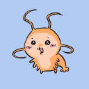 shrimpbolism avatar