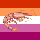 shrimpfriedgender avatar